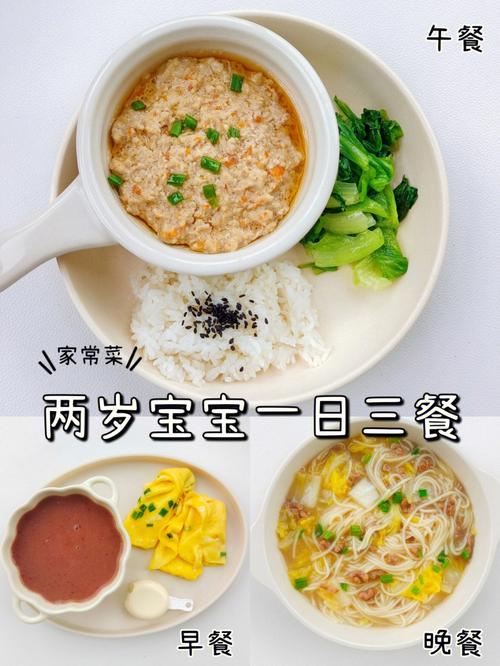 两岁助孕代生宝宝吃什么菜好